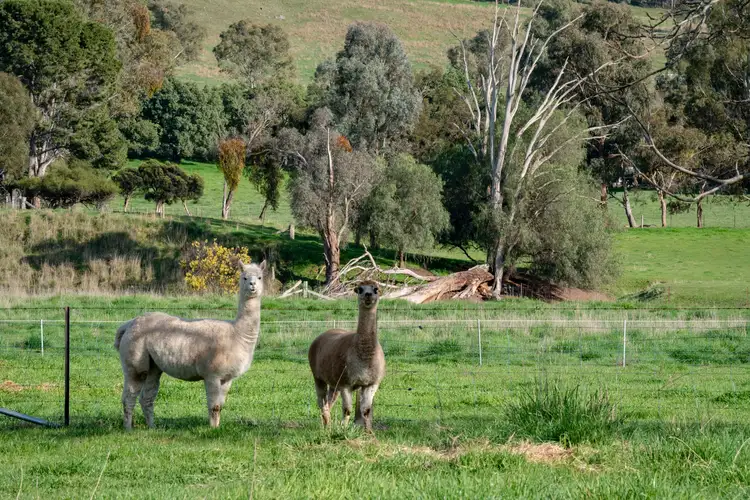 Seventh view of Homely land listing, 27 Bellenya Drive, Splitters Creek NSW 2640