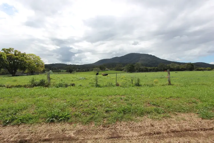 Fifth view of Homely rural property listing, 323 Stewarts River Road, Johns River NSW 2443