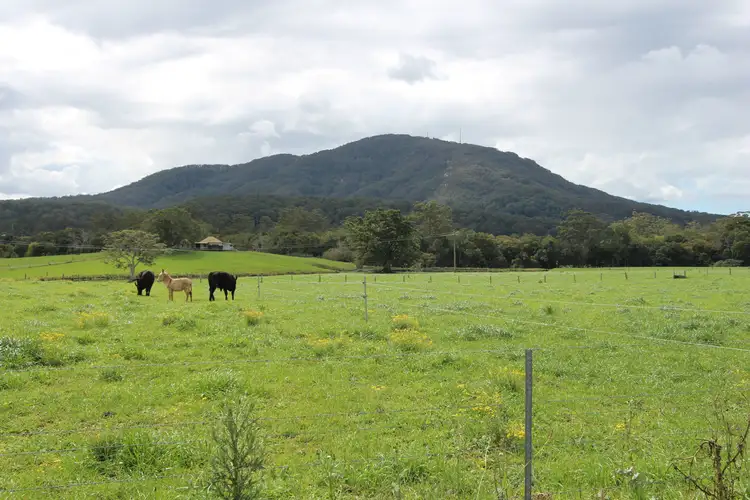 Sixth view of Homely rural property listing, 323 Stewarts River Road, Johns River NSW 2443