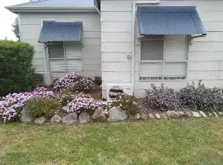 Main view of Homely house listing, 170 Wittenoom Street, Collie WA 6225