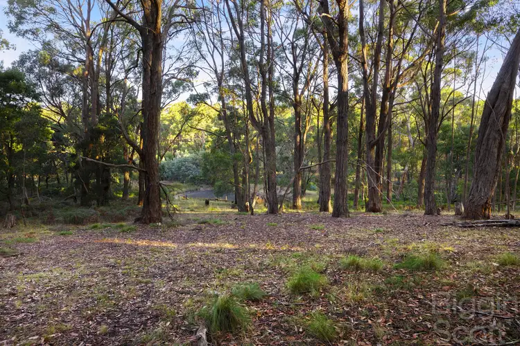 Main view of Homely land listing, 51 Mains Road, Denver VIC 3461