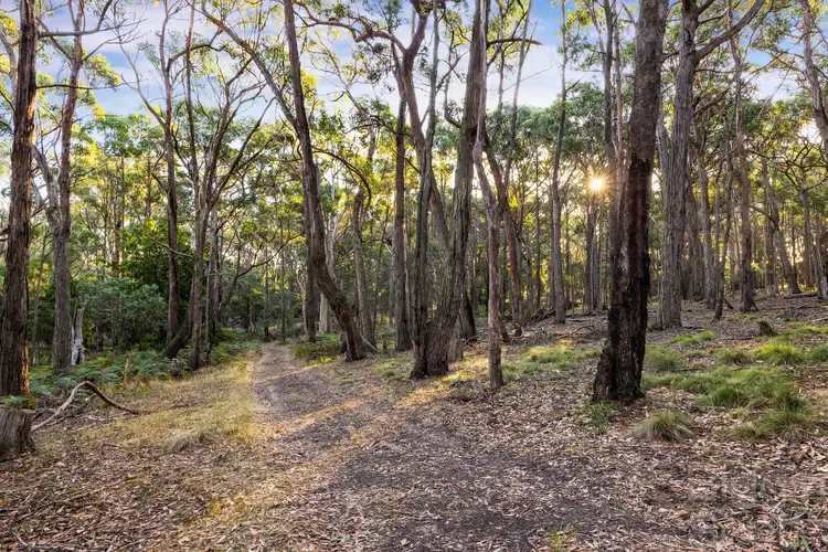 Fifth view of Homely land listing, 51 Mains Road, Denver VIC 3461