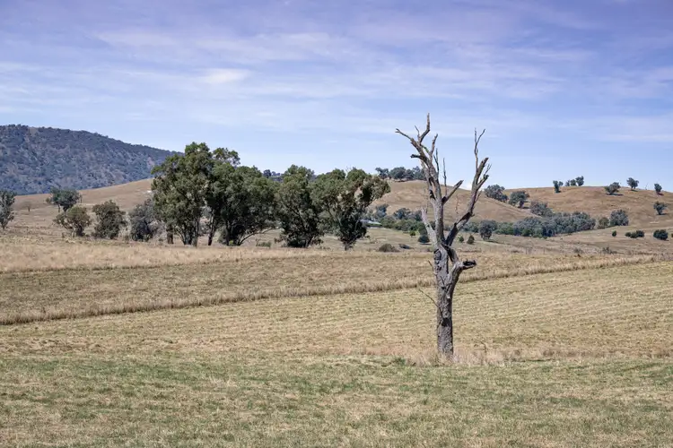 Seventh view of Homely land listing, 184 Pastoral Lane, Wirlinga NSW 2640
