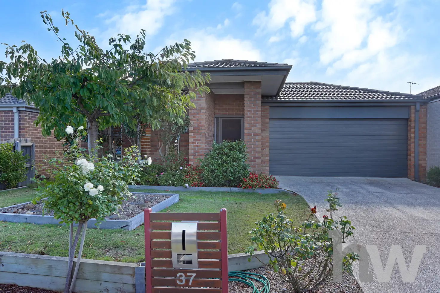 Main view of Homely house listing, 37 Werner Avenue, Marshall VIC 3216