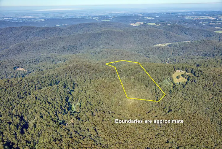 Main view of Homely rural property listing, LOT 1/LP127900 Beenak East Road, Gembrook VIC 3783