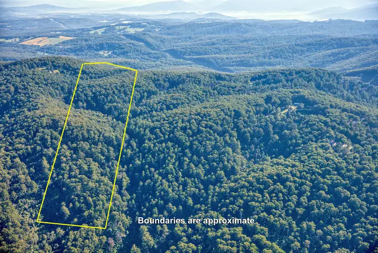 Fourth view of Homely rural property listing, LOT 1/LP127900 Beenak East Road, Gembrook VIC 3783