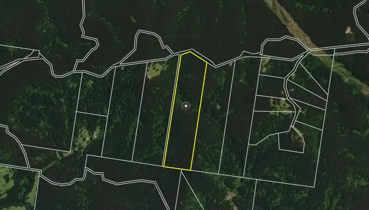 Fifth view of Homely rural property listing, LOT 1/LP127900 Beenak East Road, Gembrook VIC 3783