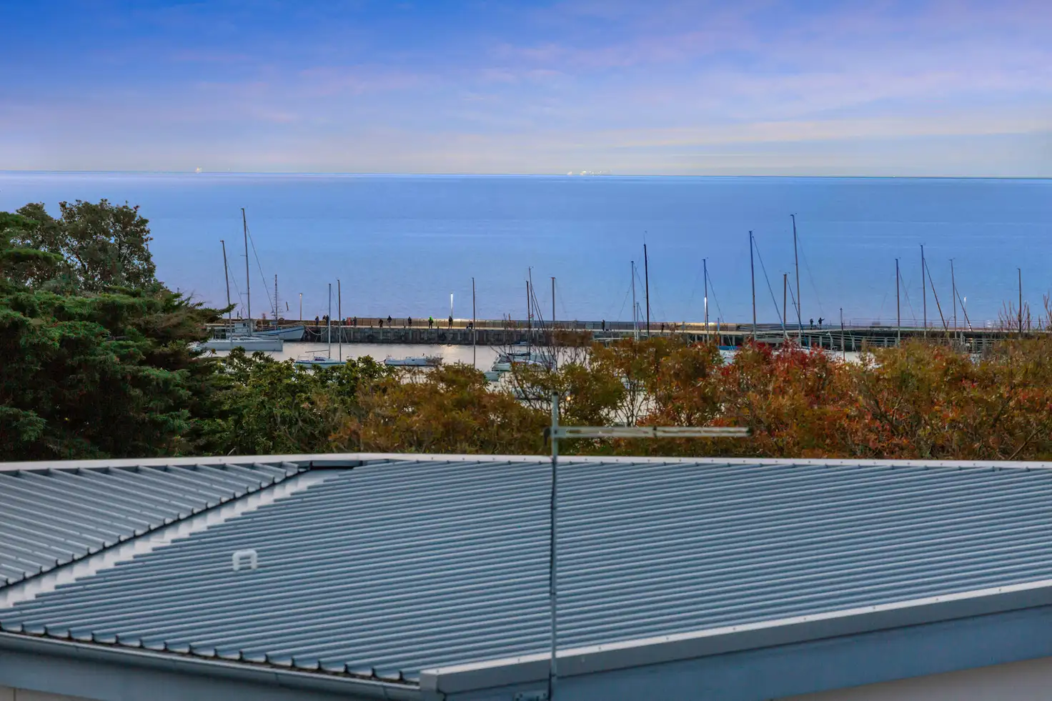 Main view of Homely house listing, 14/14 Tanti Avenue, Mornington VIC 3931