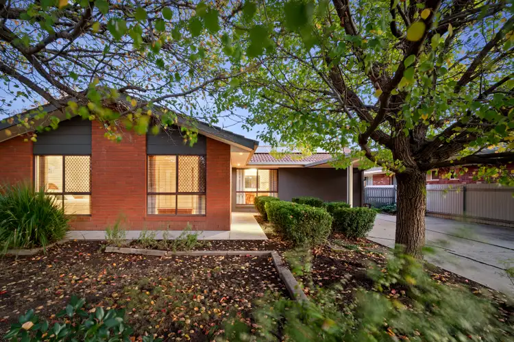 113 Benyon Street, East Albury NSW 2640