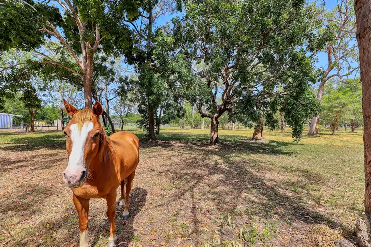 Sixth view of Homely house listing, 44 Pioneer Drive, Humpty Doo NT 836