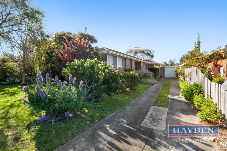 16 Gogoll Crescent, Torquay VIC 3228