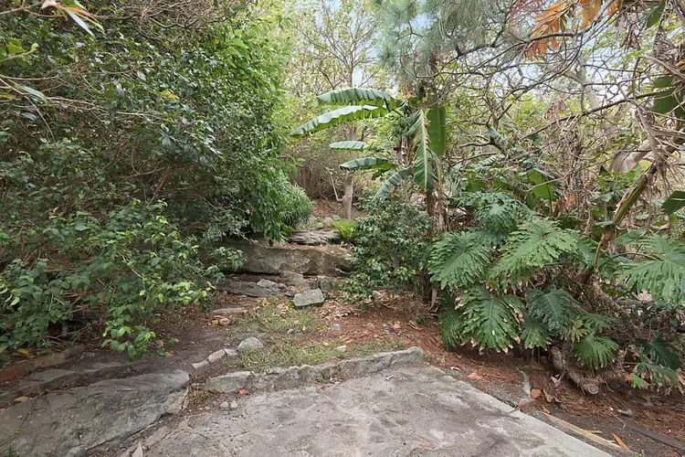Fifth view of Homely house listing, 6 Ellen Street, Curl Curl NSW 2096