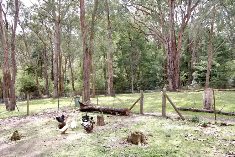 Third view of Homely house listing, 23 Bundaleer Road, Wesburn VIC 3799