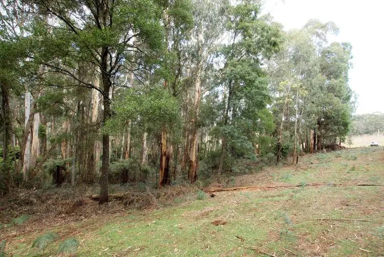 Fourth view of Homely land listing, 825 Gembrook - Launching Place Road, Hoddles Creek VIC 3139