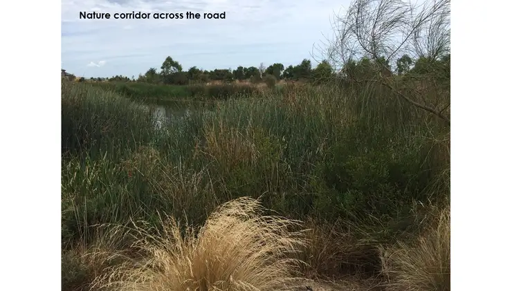 Fourth view of Homely house listing, 87 Empress Boulevard, Ocean Grove VIC 3226