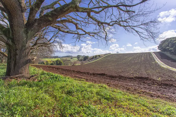 Main view of Homely rural property listing, 275 Mountain Road, Gembrook VIC 3783