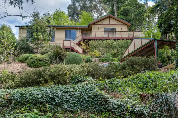 Main view of Homely house listing, 55 Belgrave-Gembrook Road, Belgrave VIC 3160