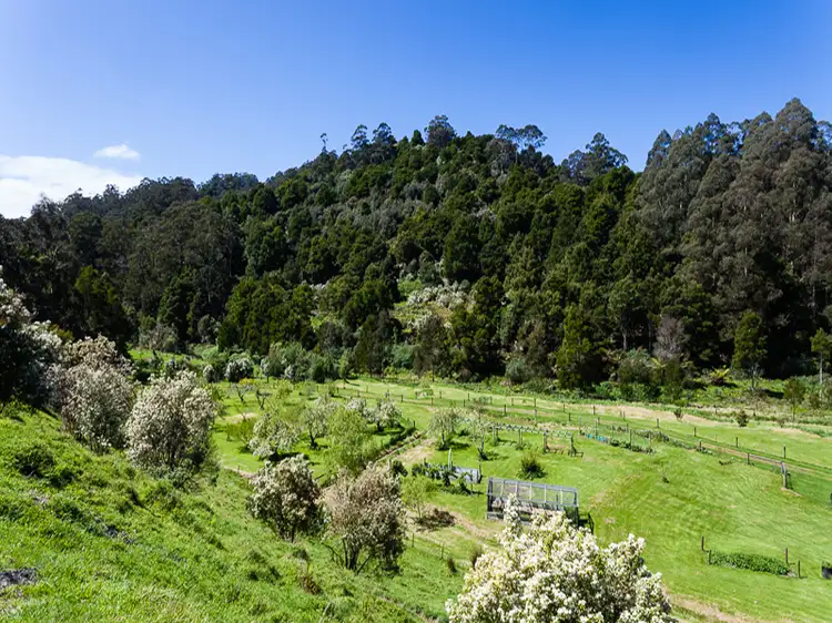 Second view of Homely rural property listing, 1145 Barham River Road, Apollo Bay VIC 3233