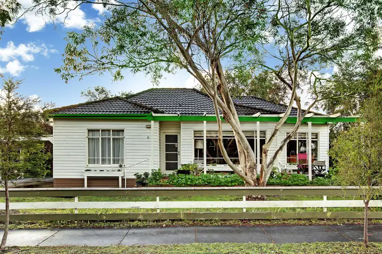 12 Vine Street, Ringwood VIC 3134