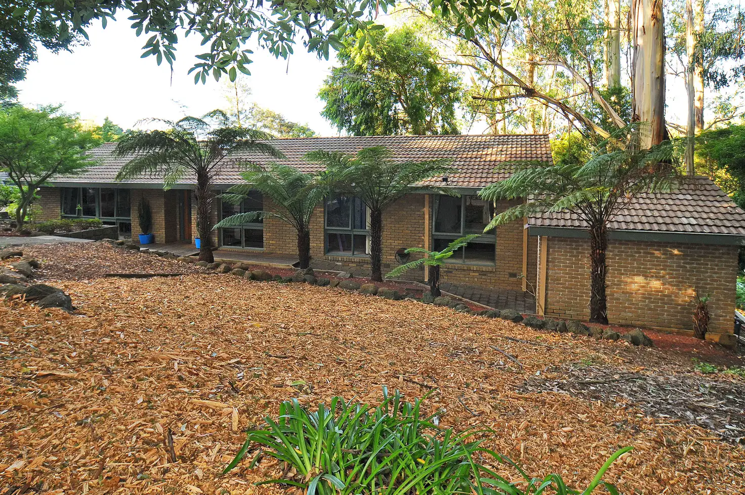 Main view of Homely house listing, 83 Kallista Emerald Road, The Patch VIC 3792