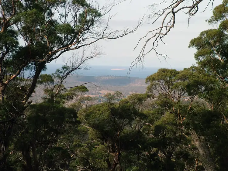 Sixth view of Homely rural property listing, 0 Swanston Road, Little Swanport TAS 7190