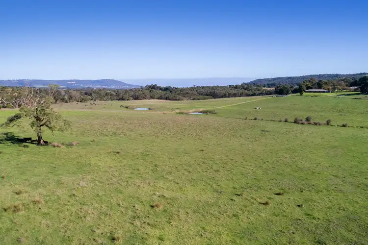 Seventh view of Homely house listing, 235 Old Moorooduc Road, Tuerong VIC 3915