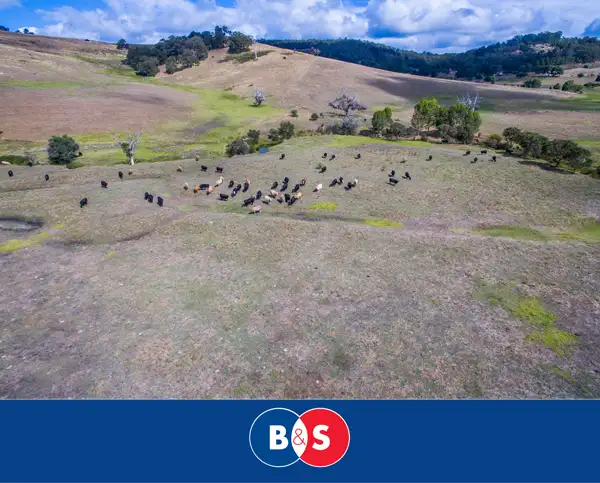 Sixth view of Homely rural property listing, Lot 81 Airstrip Road, Balingup WA 6253