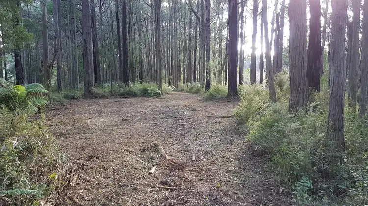 Lot/2 Paternoster Road, Cockatoo VIC 3781