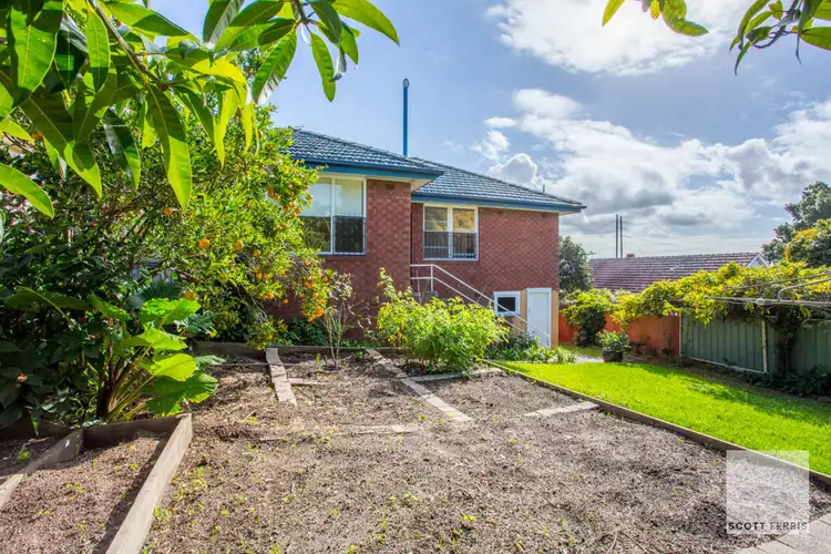 Third view of Homely house listing, 3 Stevenson Avenue, Mayfield NSW 2304