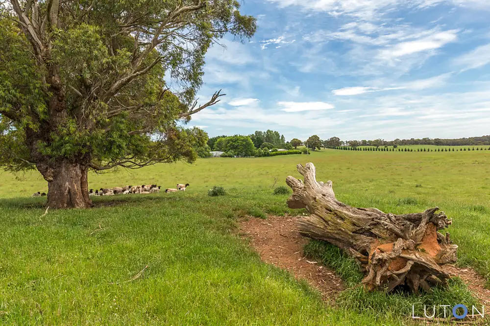 Main view of Homely rural property listing, 988 Charleys Forest Road, Braidwood NSW 2622