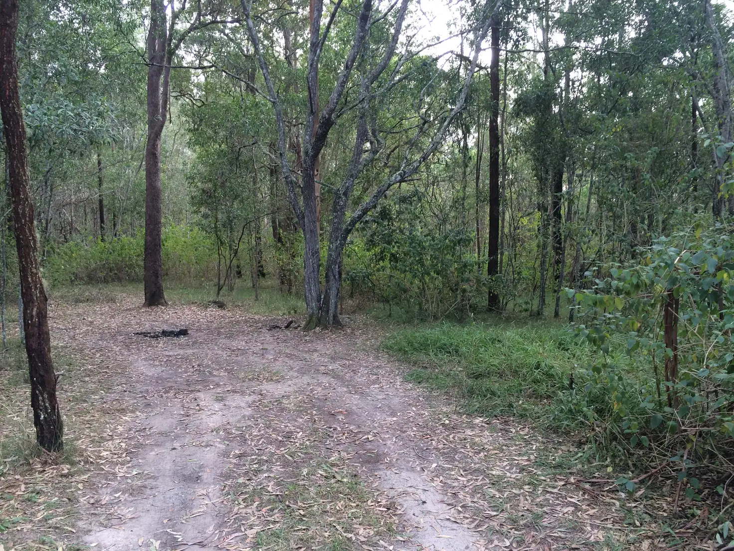 Main view of Homely rural property listing, Lot 45 Pacific Highway, New Italy NSW 2472