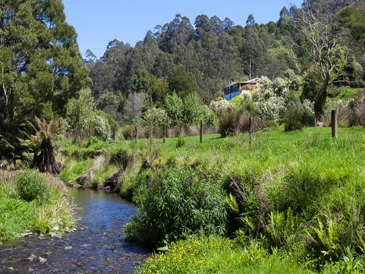 Sixth view of Homely rural property listing, 1145 Barham River Road, Apollo Bay VIC 3233
