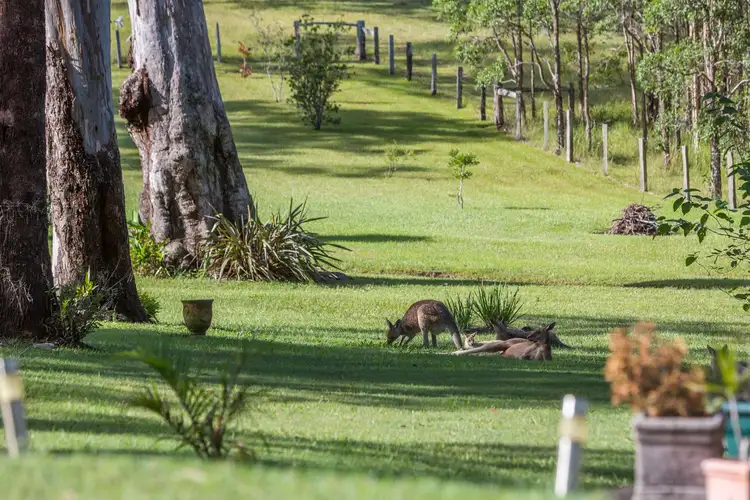 Fourth view of Homely house listing, 11 Sharpe Road, Woodburn NSW 2472
