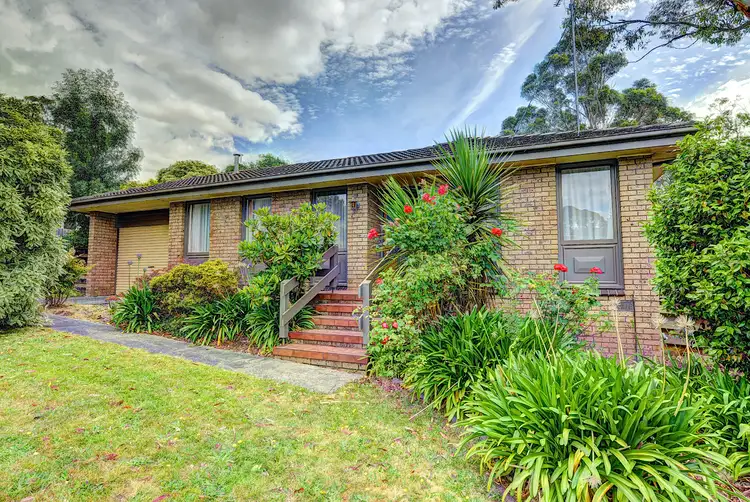 17 Mansfield Avenue, Mount Clear VIC 3350