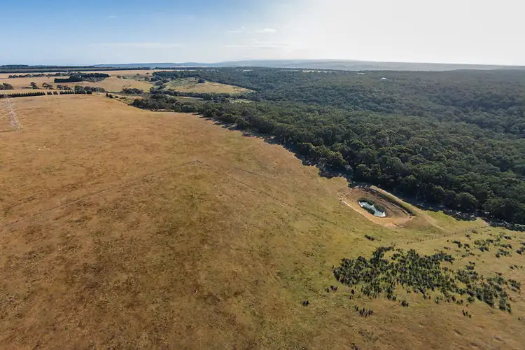 Fifth view of Homely rural property listing, 245 Elkington Road, Bellbrae VIC 3228