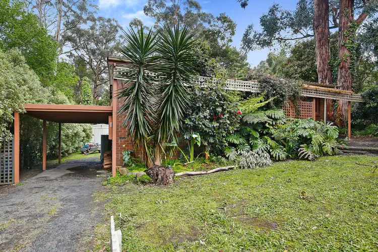 Fifth view of Homely house listing, 50 Wonga Road, Millgrove VIC 3799