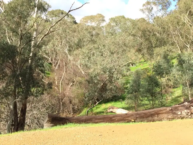 Fifth view of Homely rural property listing, 93a Taylor Road, Humbug Scrub SA 5114