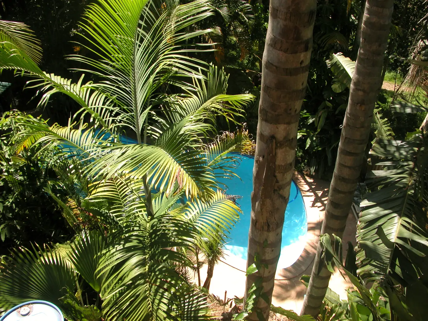 Main view of Homely house listing, 85 Toolona Street, Tugun QLD 4224
