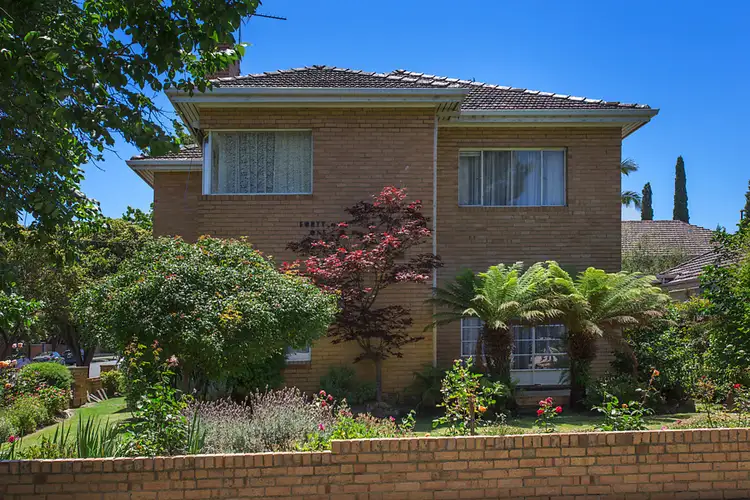 41 North Road, Brighton VIC 3186