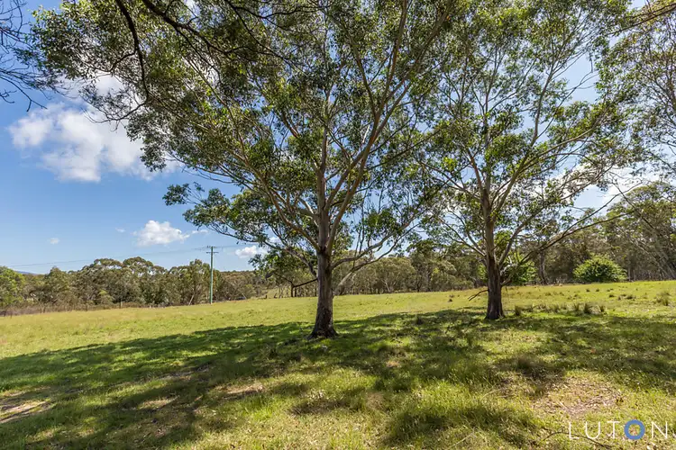 Seventh view of Homely rural property listing, 119 Wallaces Gap Road, Braidwood NSW 2622