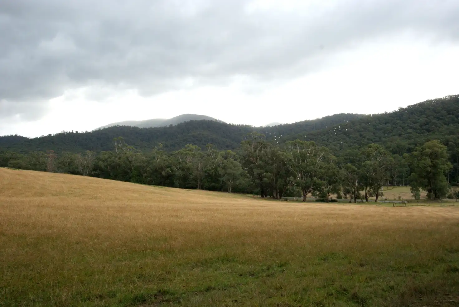 Main view of Homely land listing, 1700 Woods Point Road, Mcmahons Creek VIC 3799