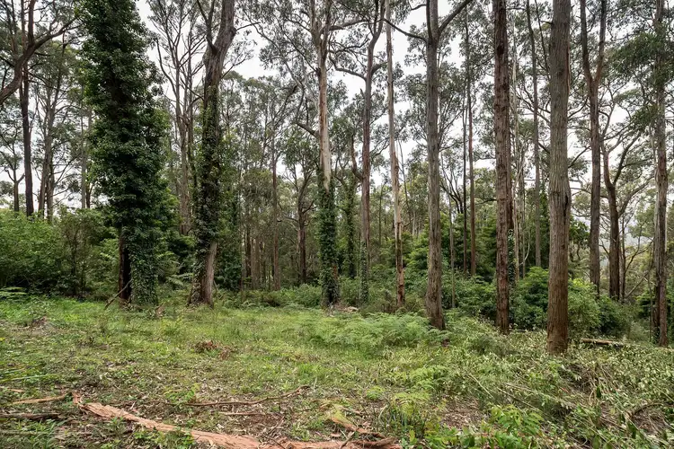 Fifth view of Homely land listing, 19 Olinda Creek Road, Kalorama VIC 3766