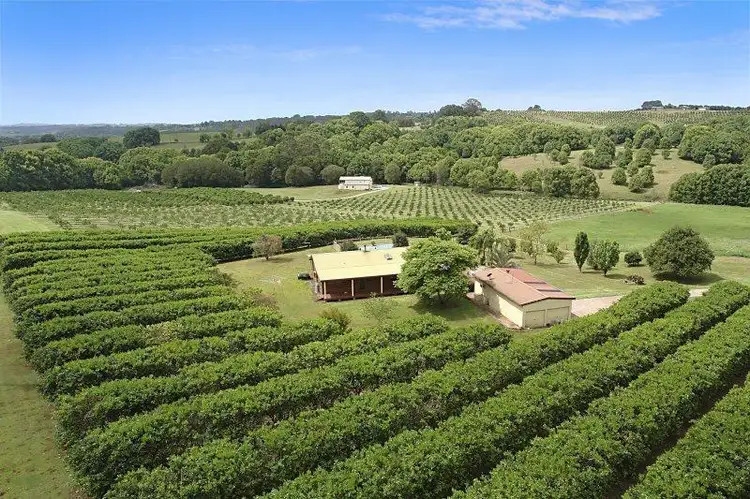 1050 Eltham  Road, Pearces Creek NSW 2477