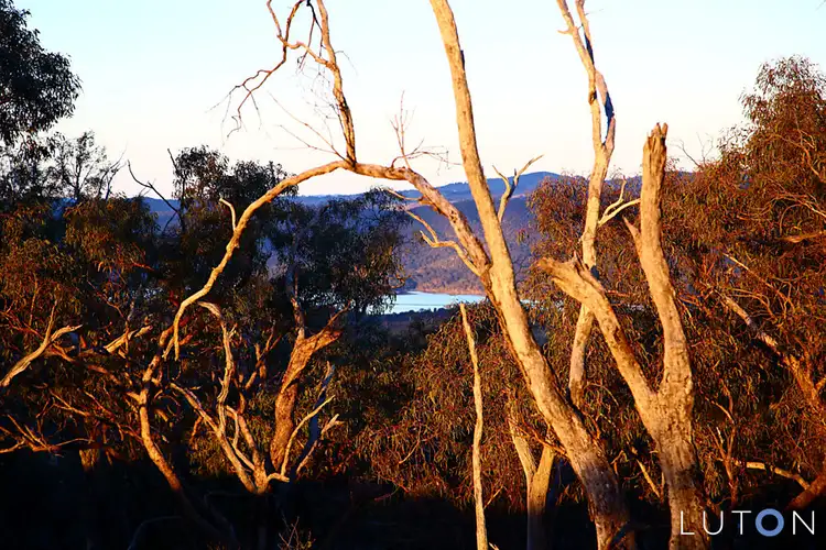 Seventh view of Homely rural property listing, 236 Burra Road, Googong NSW 2620