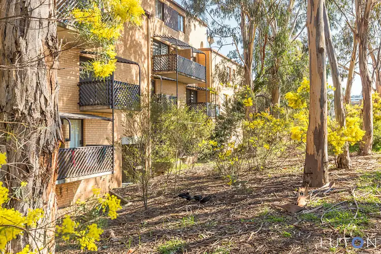 14/31 Disney Court, Belconnen ACT 2617