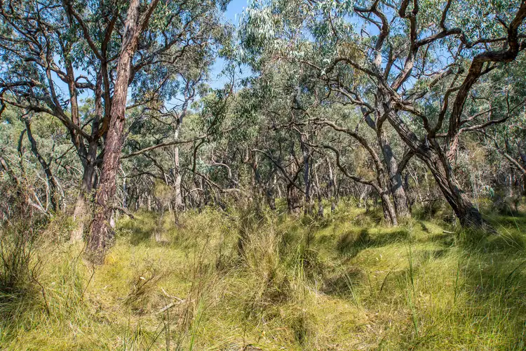Seventh view of Homely land listing, 55-60-65 Batesleigh Road, Selby VIC 3159