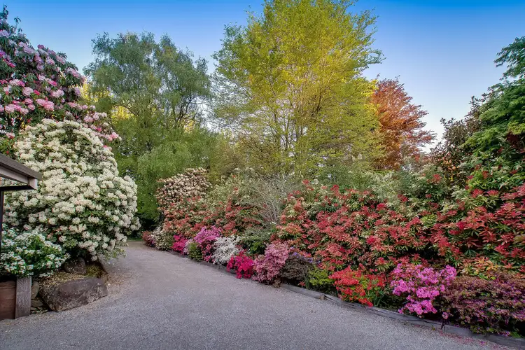 Fourth view of Homely house listing, 30 Olinda Crescent, Olinda VIC 3788