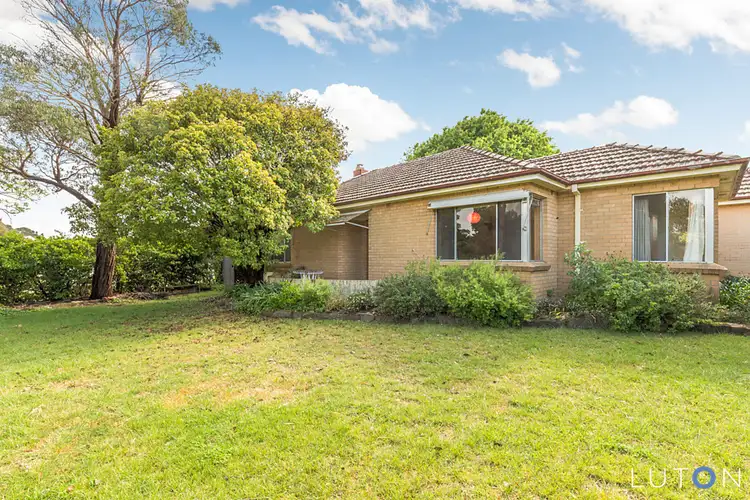 Second view of Homely house listing, 1/6 Cowper Street, Ainslie ACT 2602