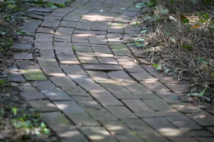 Third view of Homely house listing, 44-46 Ringwood Road, Exeter NSW 2579