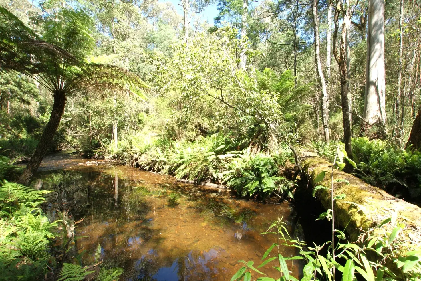 Main view of Homely land listing, 43 -45 Fisherman Drive, Reefton VIC 3799
